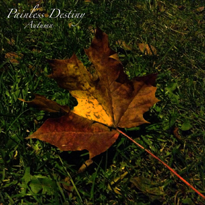 纲手❌❌❌裸体拔萝卜网页版
